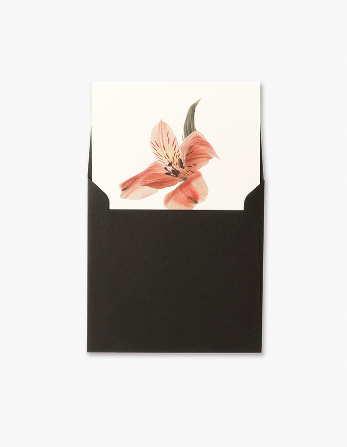 geulwoll) Card 1 Winter Flower - 알스트로메리아