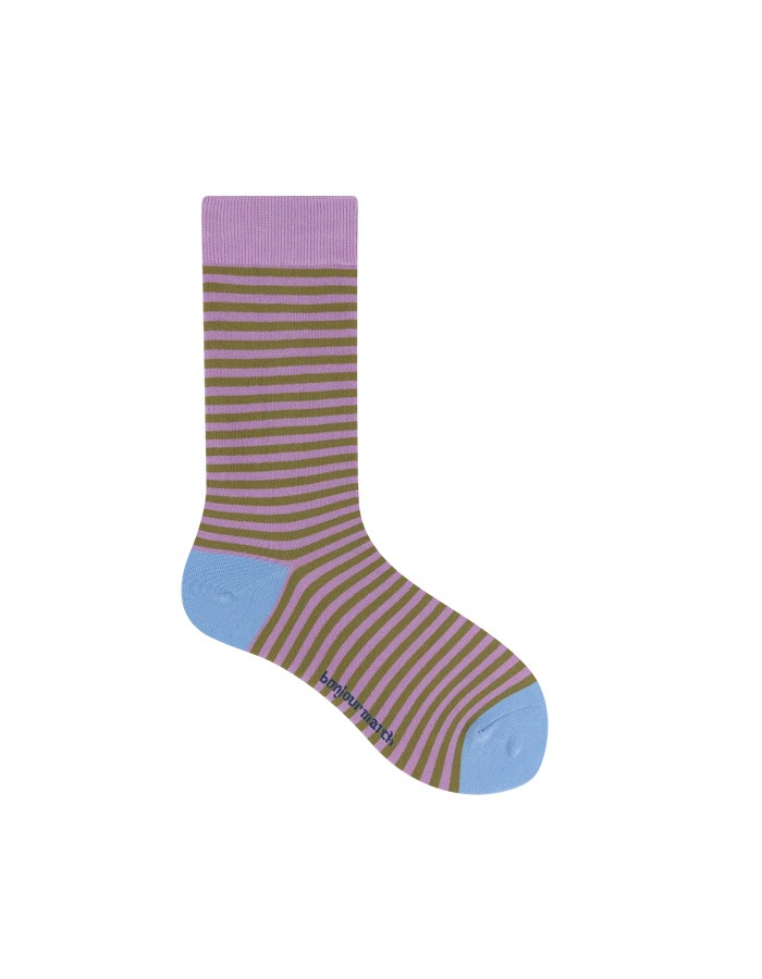 Bonjour March) Color stripe socks (violet)