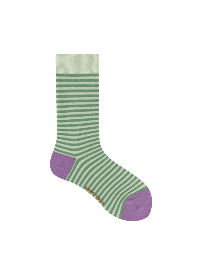 Bonjour March) Color stripe socks (mint)