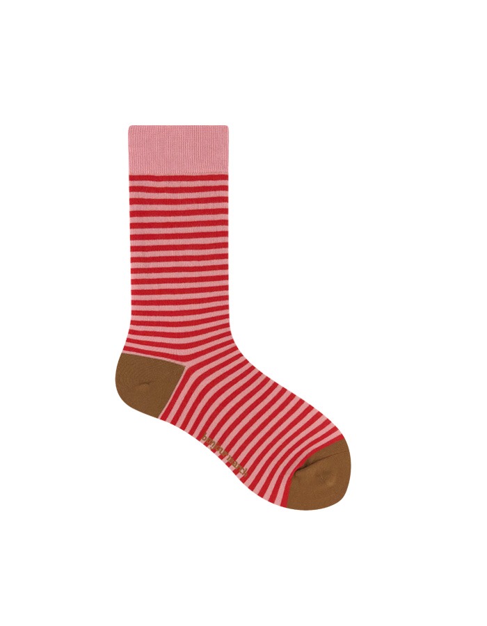 Bonjour March) Color stripe socks (red)