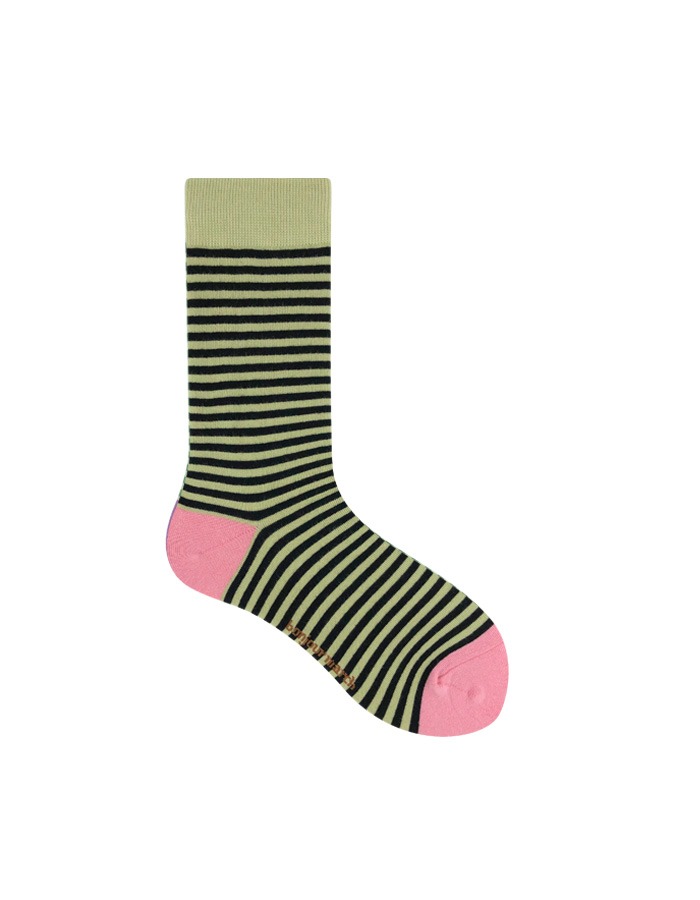 Bonjour March) Color stripe socks (green)